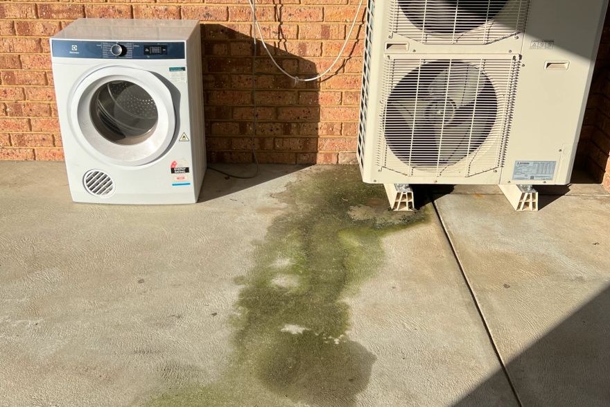 Concrete cleaning: before