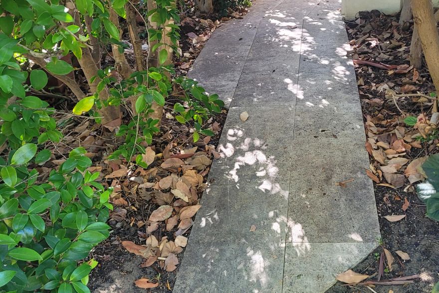 Garden path: before