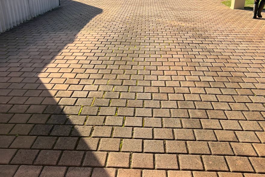 Organic growth removed from brick paving: before