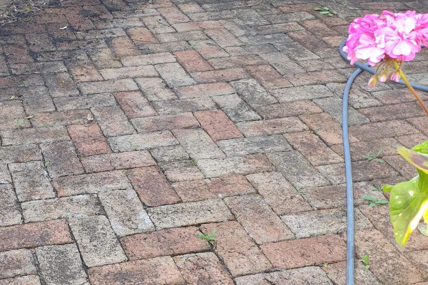 Red brick paving: before