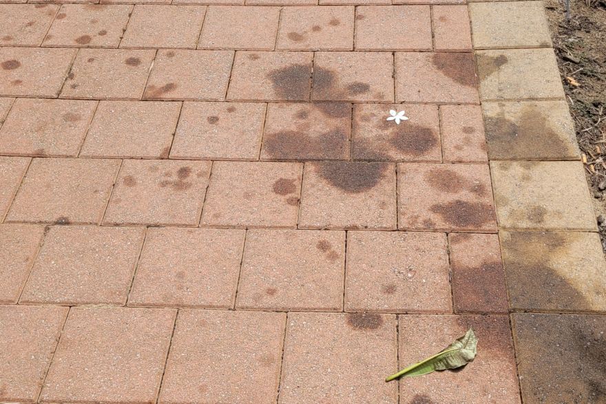 Oil stains on brick paving: before