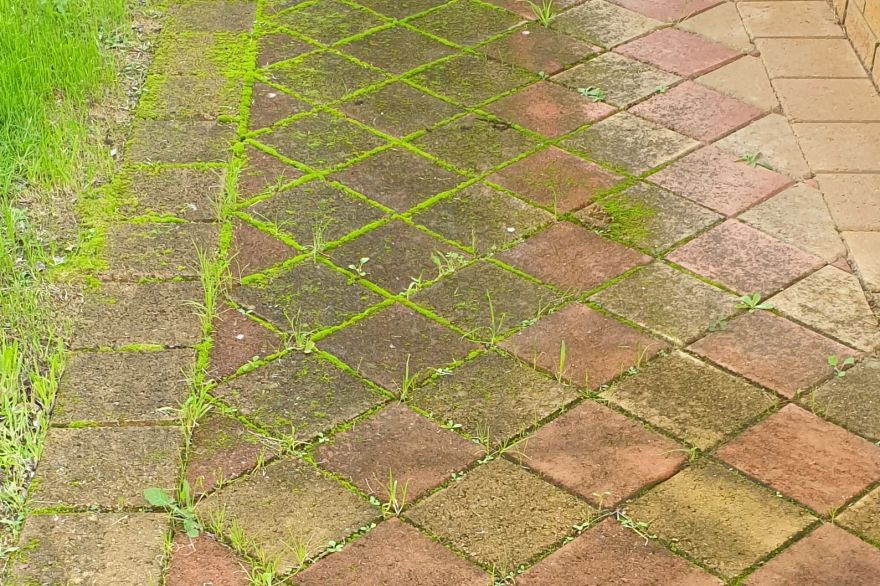Brick Paving cleaning: before