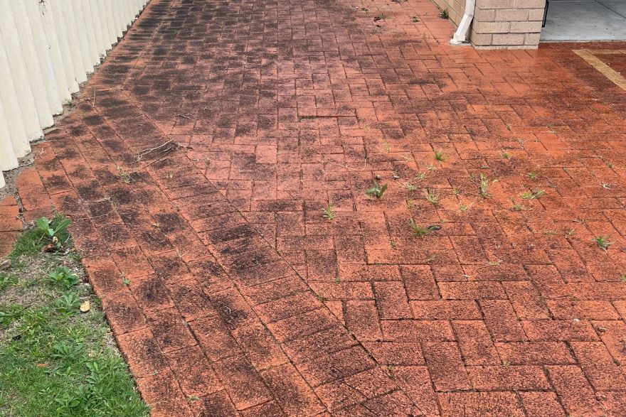 Red brick path: before