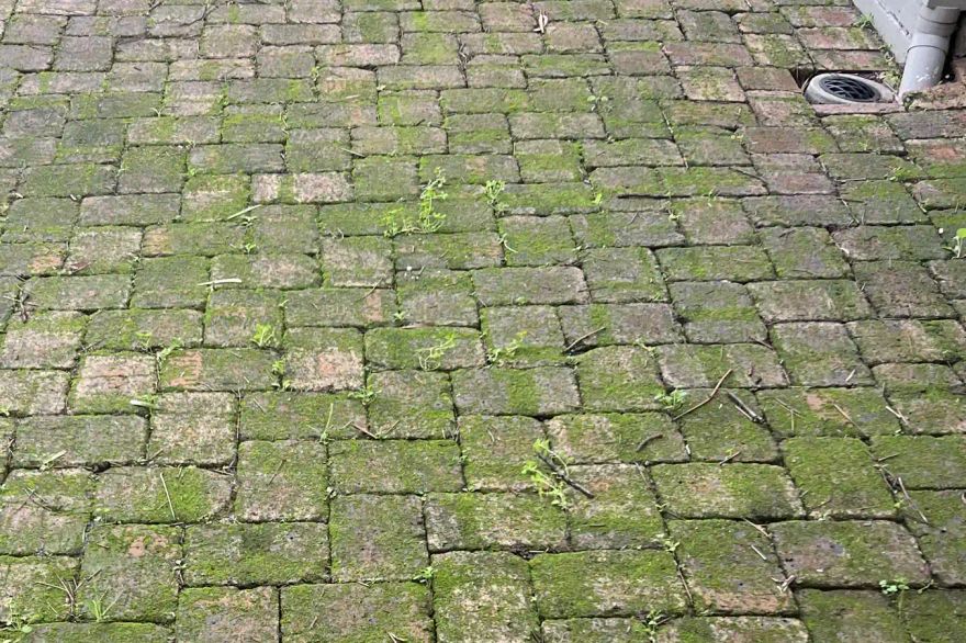 Brick paving cleaning: before