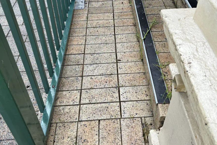 Chewing gum: after