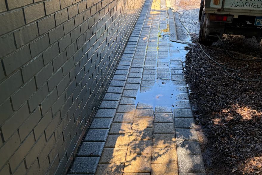 Before and after cleaning on brick pavers: after