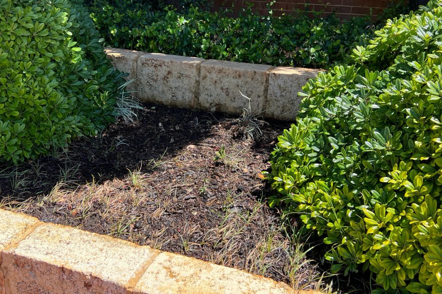 Before and after rust / bore stains: after