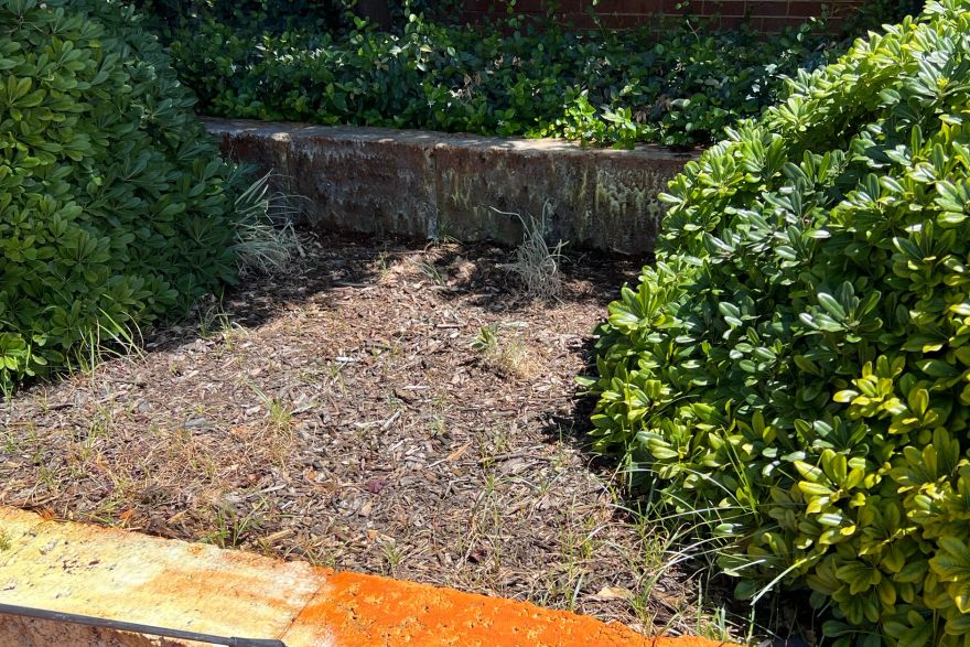 Before and after rust / bore stains: before