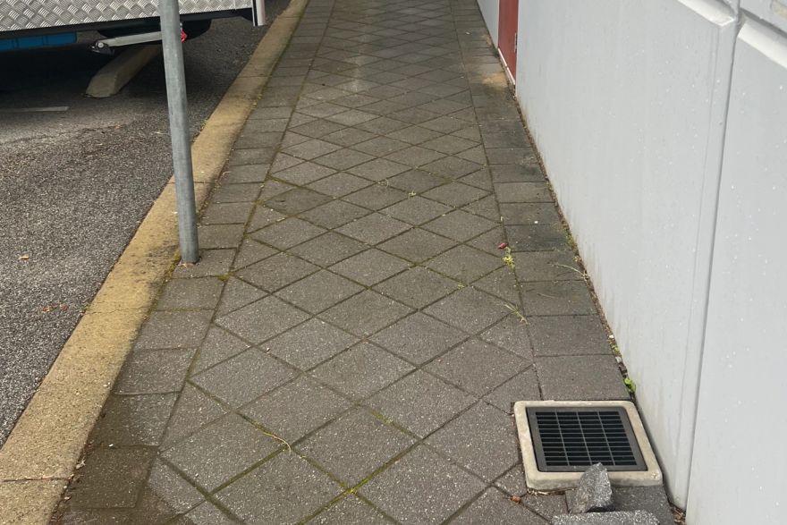 Before and after cleaning on brick pavers: before