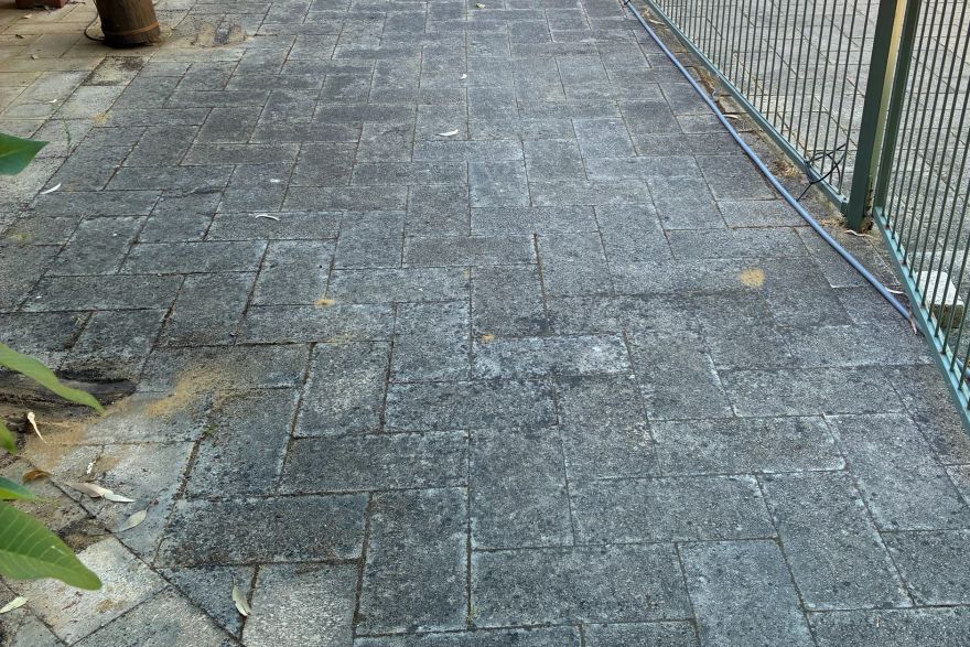 Before and after cleaning on brick pavers: before