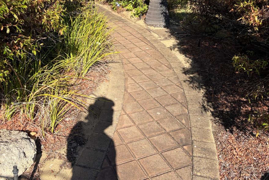 Before and after cleaning on brick pavers: before