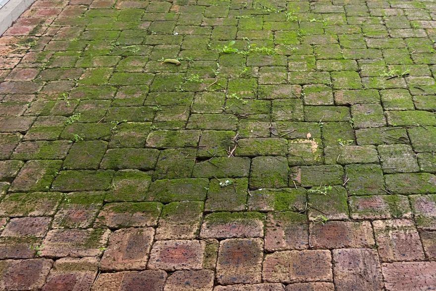 Before and after cleaning on brick pavers: before