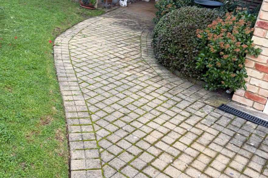 Before and after cleaning on brick pavers · Path: before