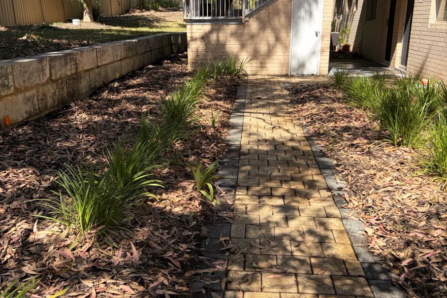 Before and after cleaning on brick pavers: after