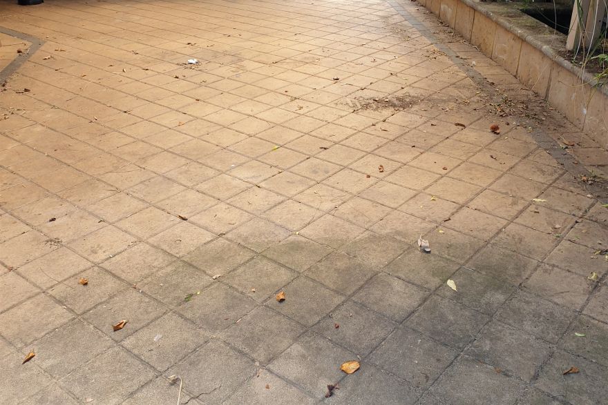 Before and after cleaning on brick pavers: before
