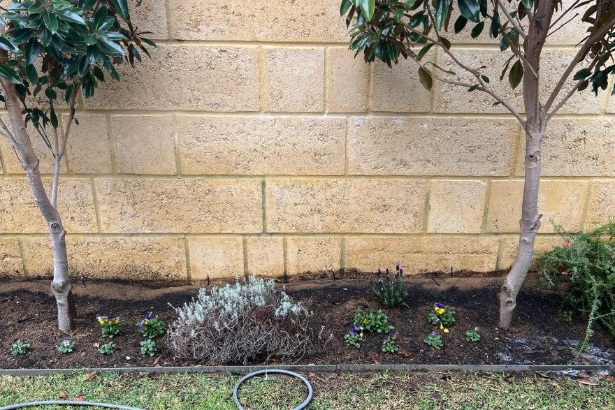 Before and after rust / bore stains: after