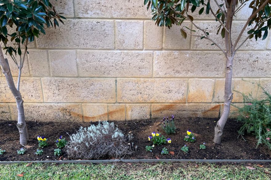 Before and after rust / bore stains: before
