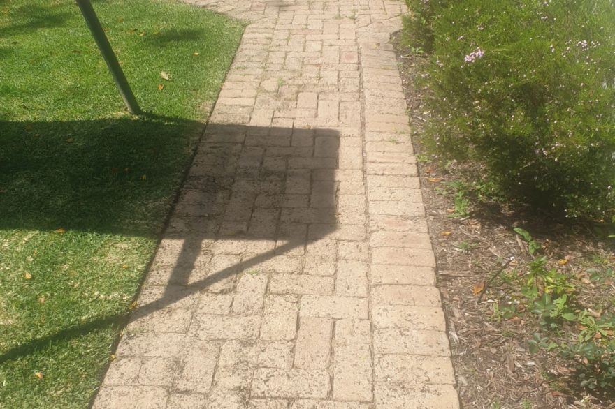 Before and after cleaning on brick pavers: before