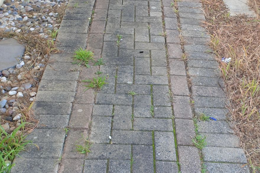 Before and after cleaning on brick pavers · Path: before
