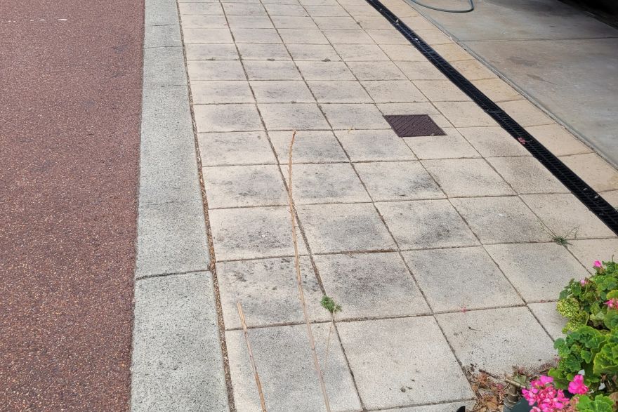 Before and after cleaning on sandstone pavers: before