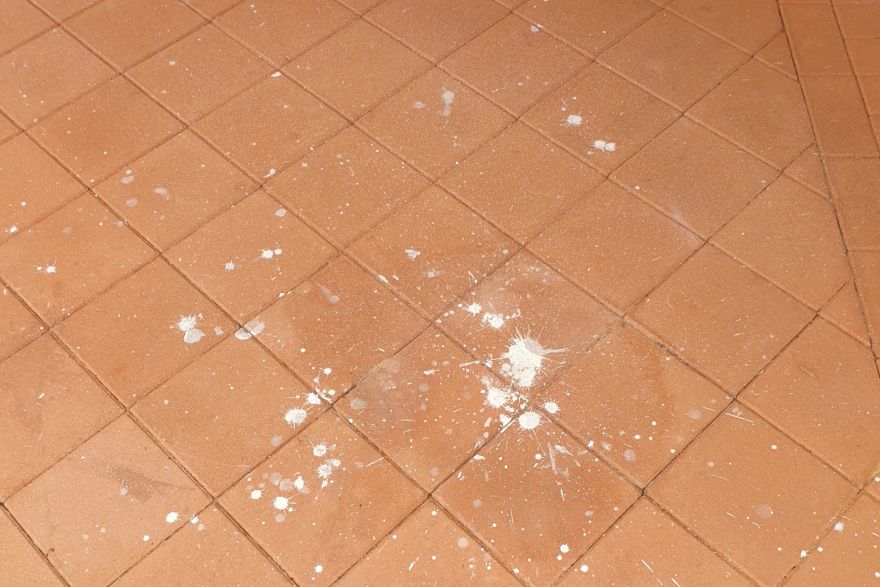 Before and after paint removal on brick pavers · Patio / alfresco: before