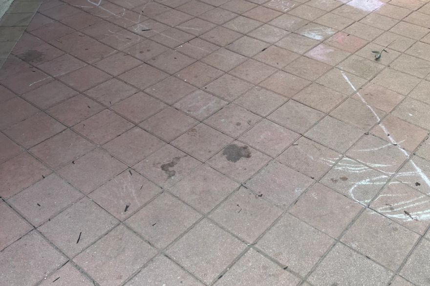 Before and after cleaning on brick pavers · Patio / alfresco: before