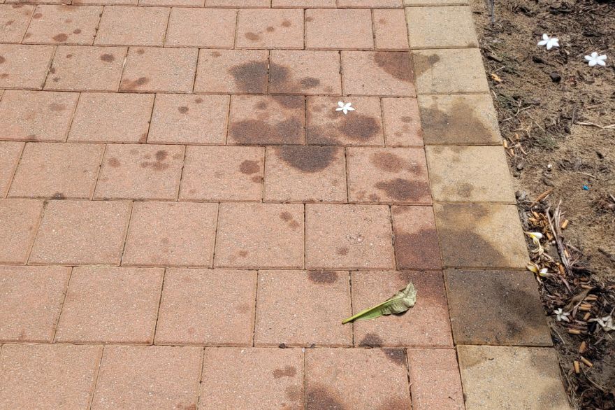 Before and after oil stains on brick pavers · Driveway: before