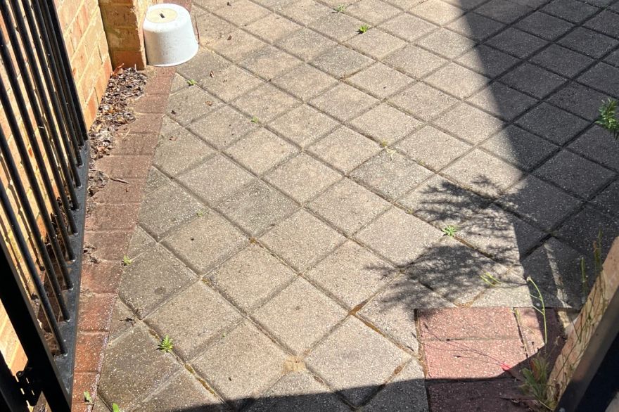Before and after cleaning on brick pavers: before
