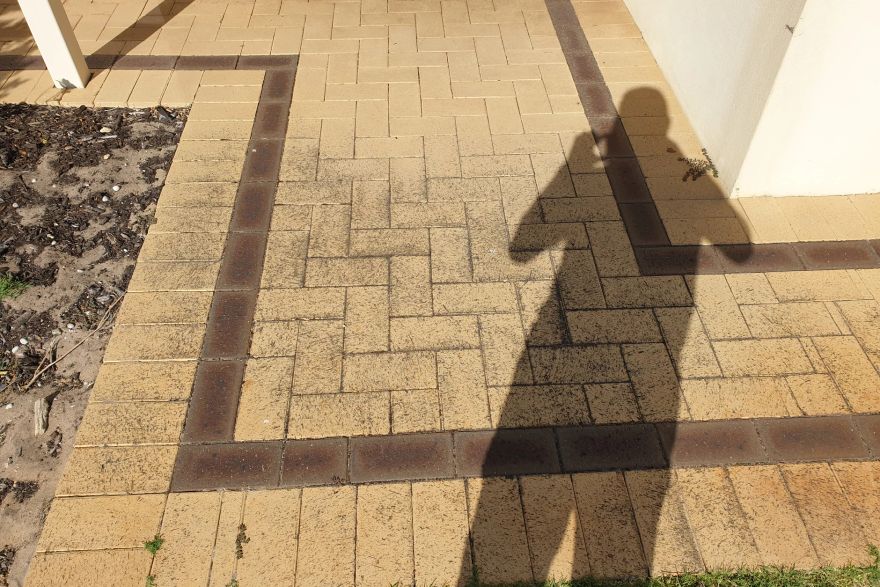 Before and after cleaning on brick pavers: before