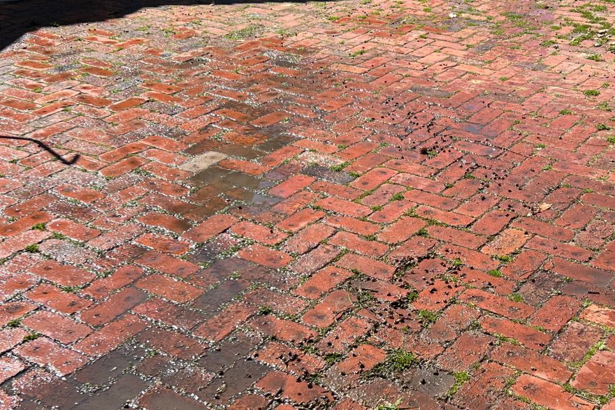Before and after cleaning on brick pavers · Driveway: before