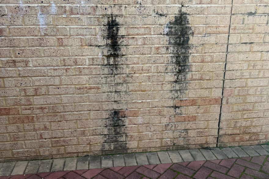 Before and after cleaning on brick pavers: before
