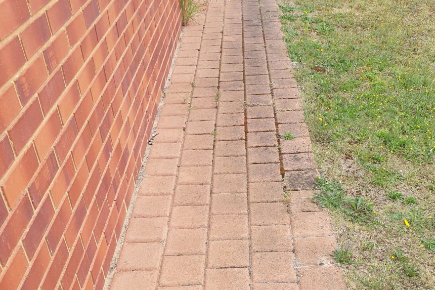 Before and after cleaning on brick pavers: before