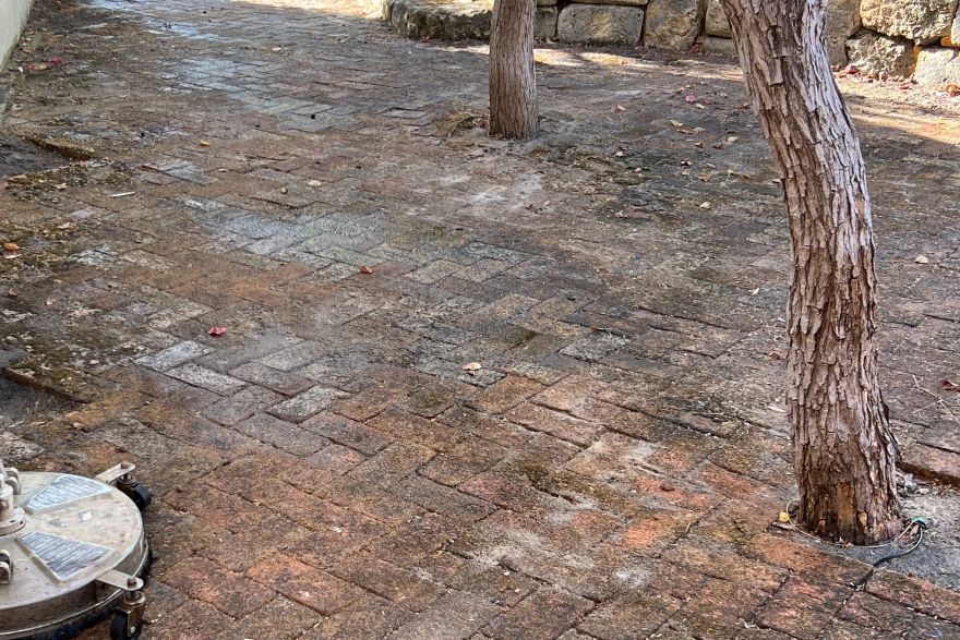 Before and after cleaning on brick pavers: before