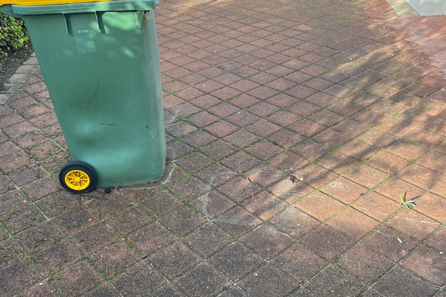 Before and after cleaning on brick pavers: before
