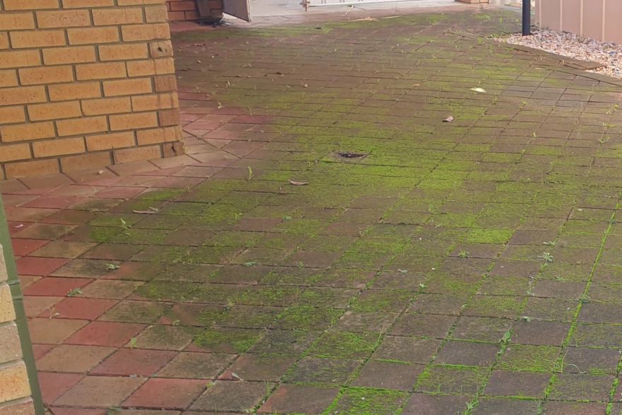 Before and after cleaning on brick pavers: before