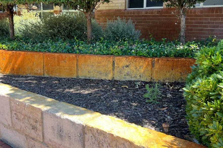 Before and after rust / bore stains: before