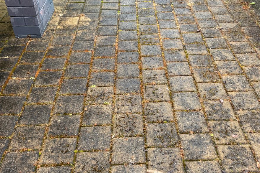 Before and after cleaning on brick pavers: before