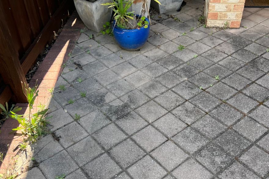 Before and after cleaning on brick pavers: before