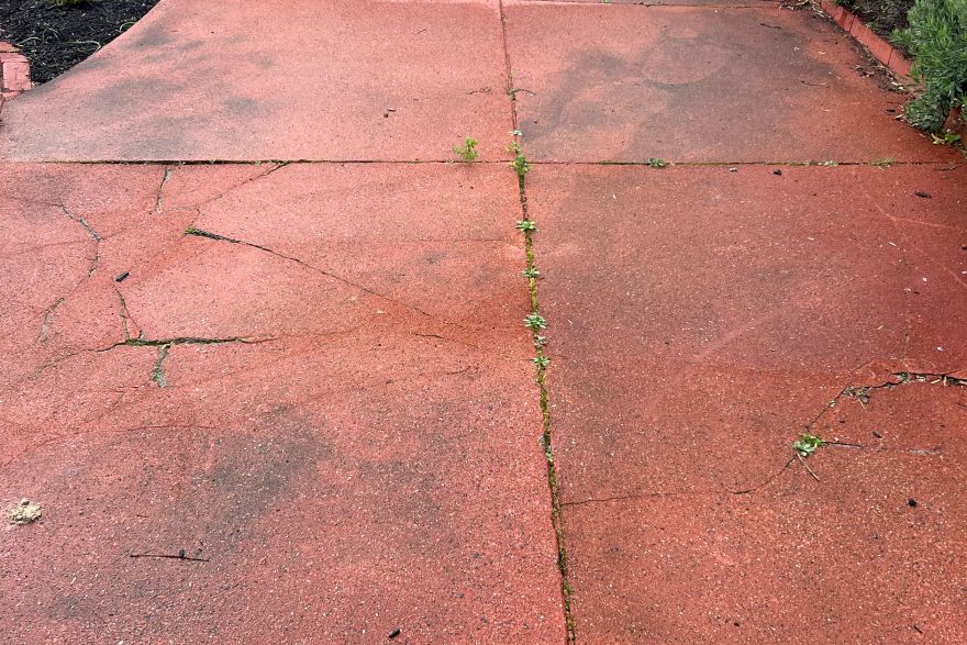 Before and after cleaning on concrete slab · Driveway: before