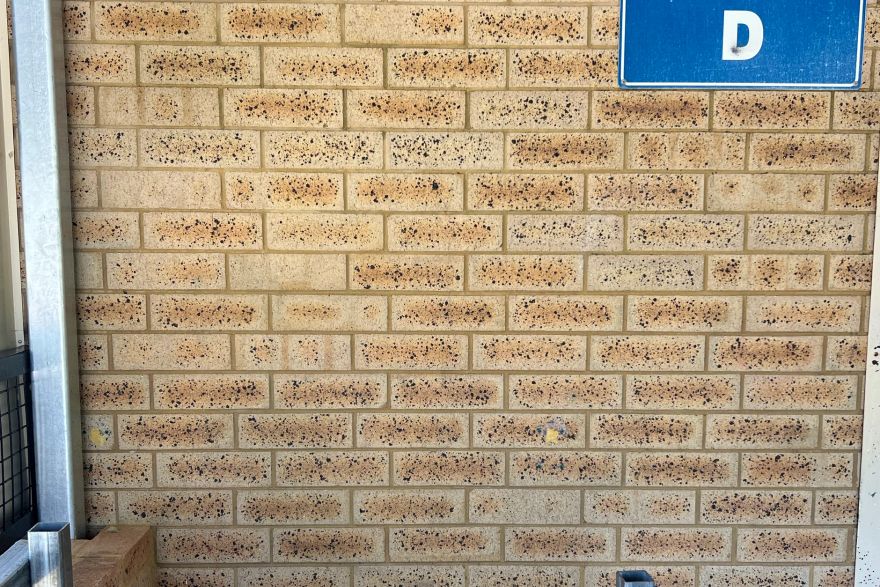 Before and after graffiti: after