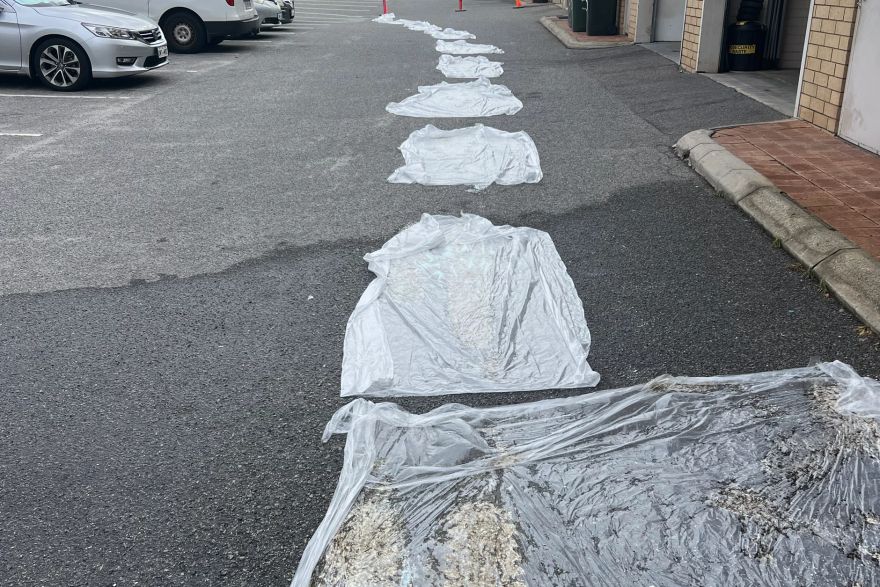 Before and after paint removal: before