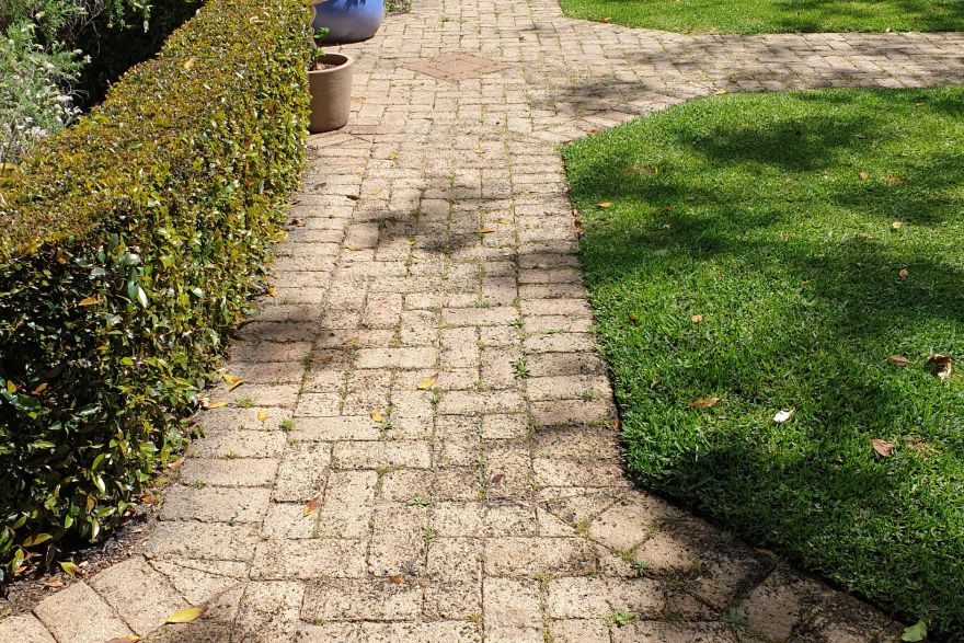 Before and after cleaning on brick pavers: before