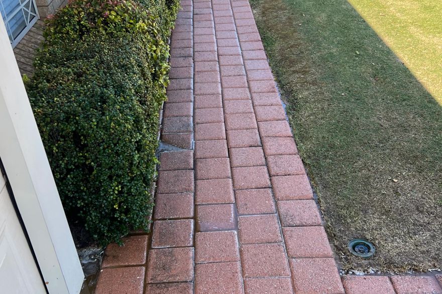 Before and after cleaning on brick pavers: after