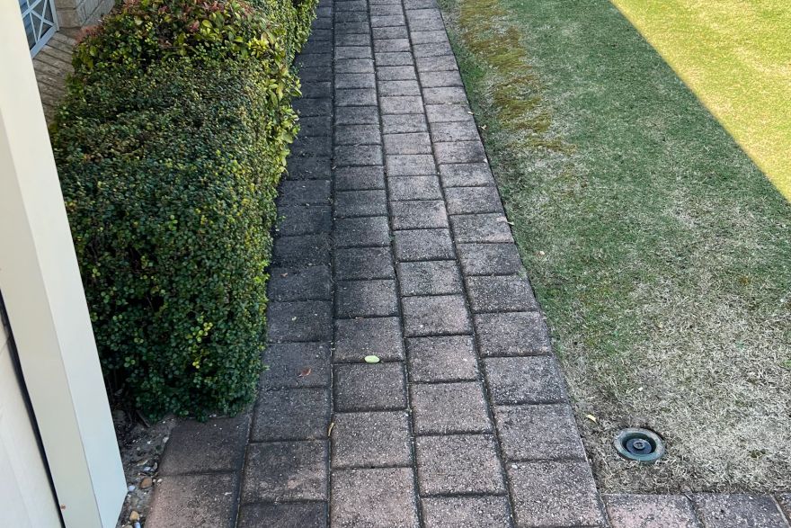 Before and after cleaning on brick pavers: before