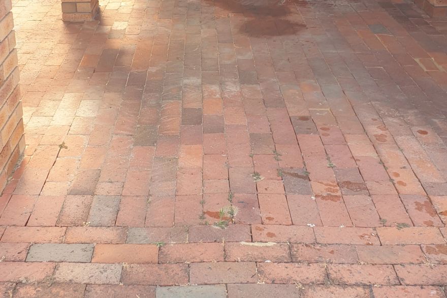Before and after cleaning on brick pavers: before