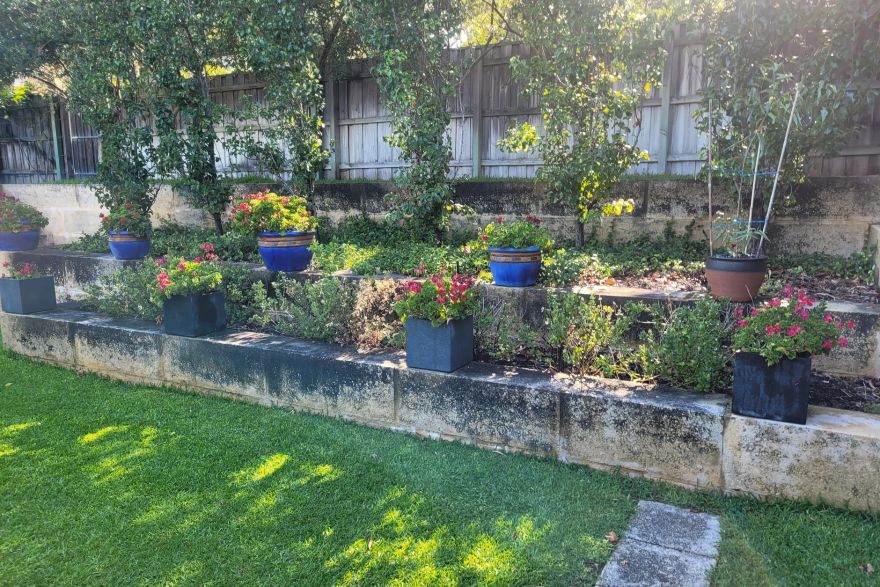 Before and after cleaning on limestone block: before