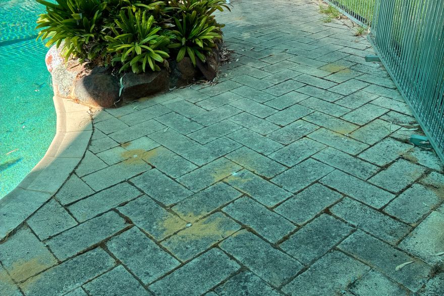 Before and after cleaning on brick pavers · Poolside: before
