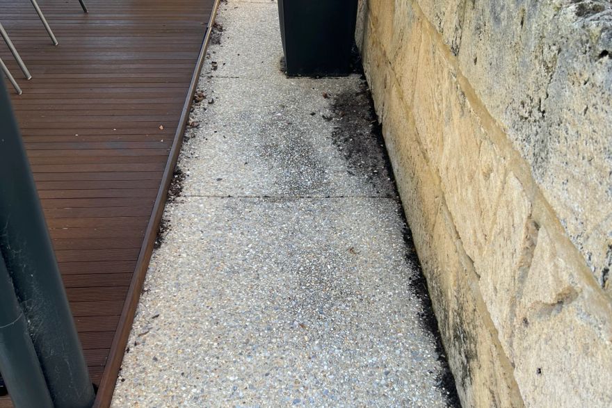 Before and after cleaning on concrete exposed aggregate · Path: before