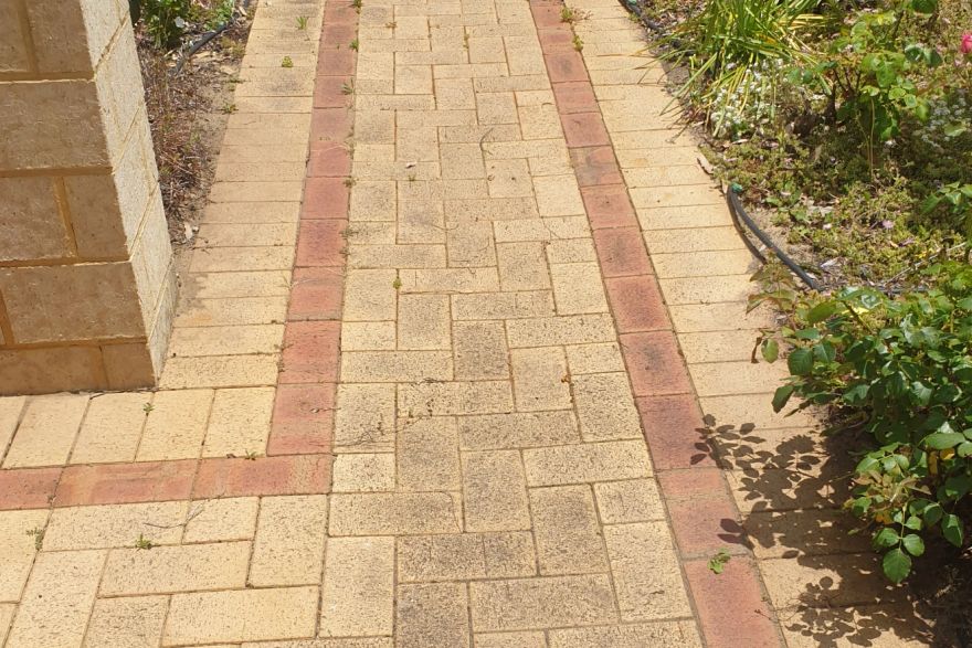 Before and after cleaning on brick pavers: before