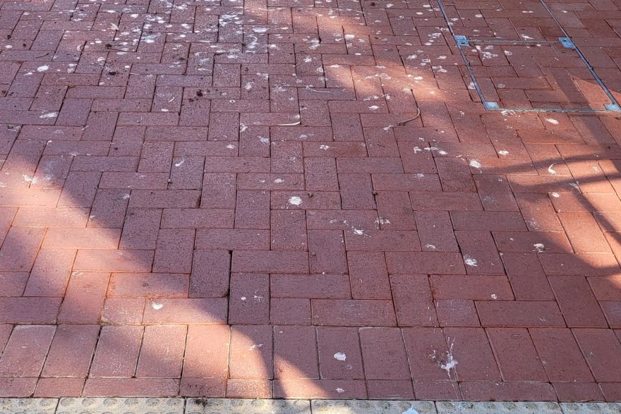 Before and after cleaning on brick pavers: before